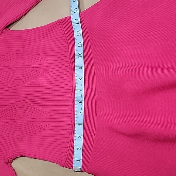 Ted Baker, Size 3 (US 8-10) Viviiyy Engineered Skater Dress,  Hot Pink,  EUC - Picture 11 of 16